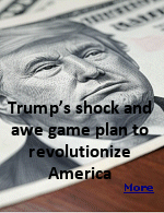 The author of this article noticed what some other writers had noticed, that Trump is the first president to actually get the investigations and replacements moving instead of just talking about them. He had teams that were fully ready to undertake this task with all the energy necessary, evident by the speed of his processes. His is truly a shock-and-awe move against big, unaccountable government.